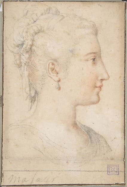 Head of a Woman in Profile, by Anonymous, French, 16th century