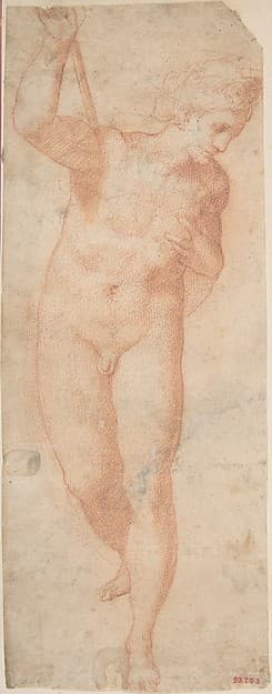Hermaphrodite, by Anonymous, Italian, mid-16th century