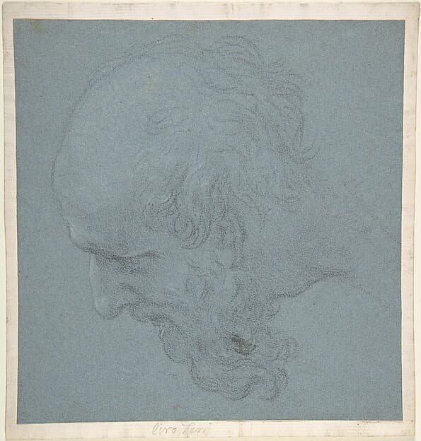 Head of a Bearded Man Looking to Upper Left, by Ciro Ferri