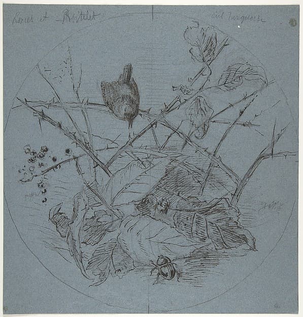 Design for a Plate, by Karl Bodmer