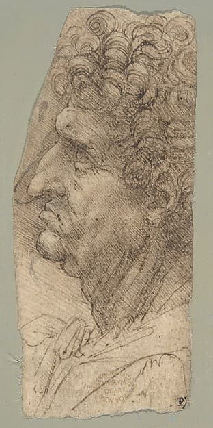 Head of a Man in Profile Facing to the Left, by Leonardo da Vinci