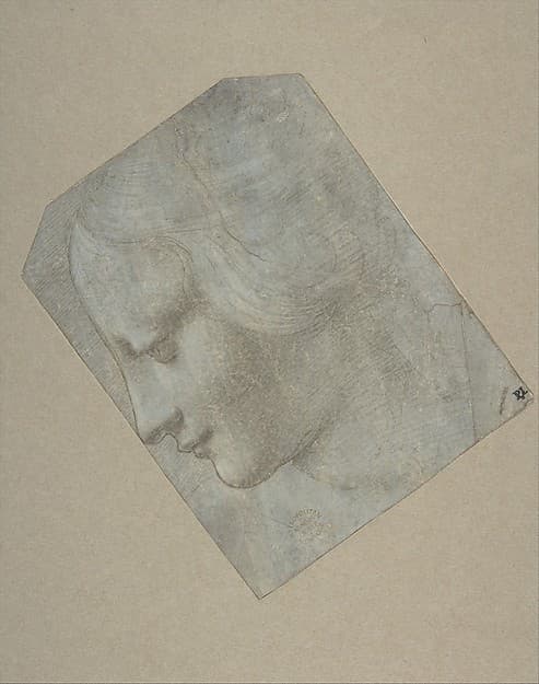 The Head of a Woman in Profile Facing Left, by Giovanni Antonio Boltraffio