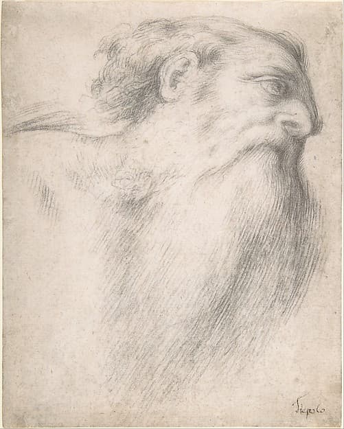 Head of a Bearded Man, by Lorenzo Lotto