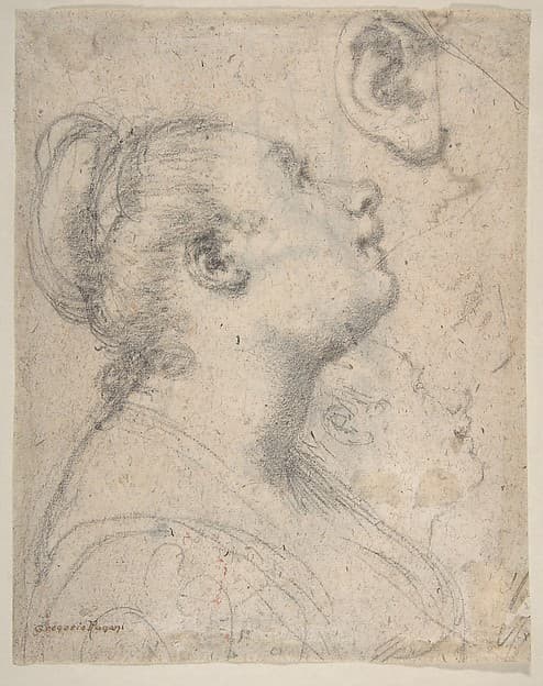 The Head and Shoulders of a Woman in Profile; Separate Studies of Her Head and Ear (recto); Fragment of Drapery Study, Profile of Architectural Molding (verso), by Gregorio Pagani