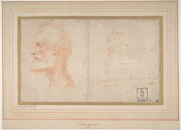 Head of a Bearded Man in Profile to Left, possibly the Portrait of the Poet Giorgio Anselmi (ca. 1459-1528), with Faint Sketch of a Skull-like Head, by Parmigianino (Girolamo Francesco Maria Mazzola)