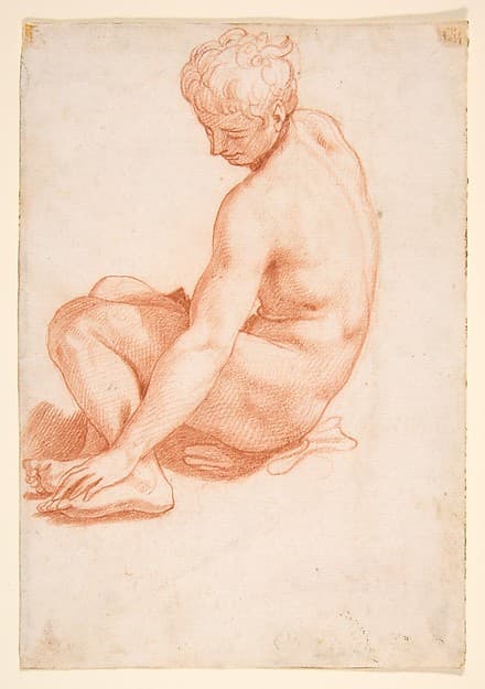 Seated Male Nude, by Francesco Salviati (Francesco de' Rossi)