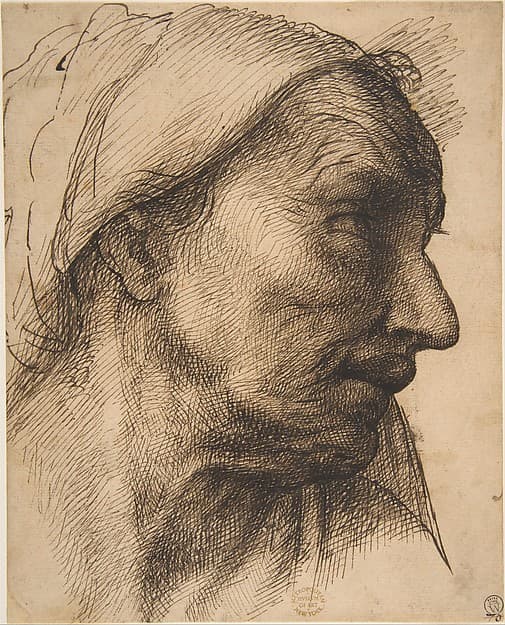 Head of an Old Woman, by Sebastiano del Piombo (Sebastiano Luciani)