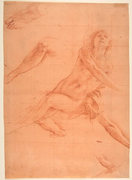 Studies for an Angel in Glory, by Antonio d'Enrico Tanzio (Tanzio da Varallo)