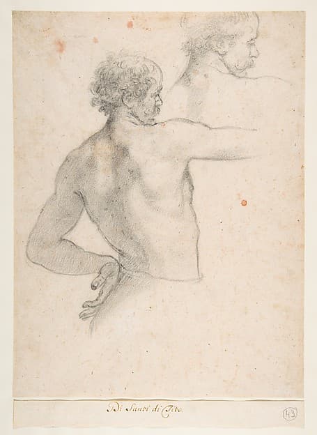 Two Studies of a Man, by Santi di Tito