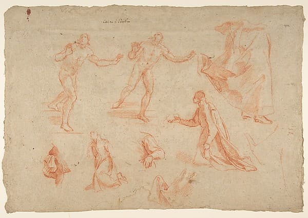 Figure and Drapery studies (recto); Three Studies of a Male Torso for the "Coronation of Marcantonio Pasqualini" (verso), by Andrea Sacchi