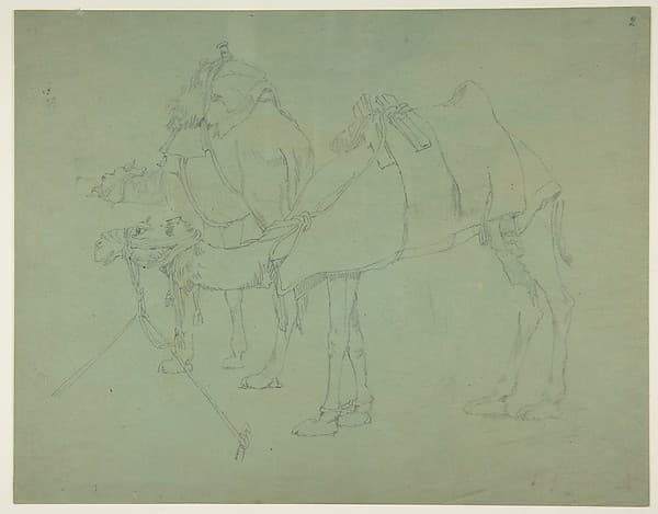 Two Camels, by Anonymous, French, 19th century