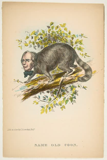 Same Old Coon (Henry Clay), from "The Comic Natural History of the Human Race", by Henry Louis Stephens
