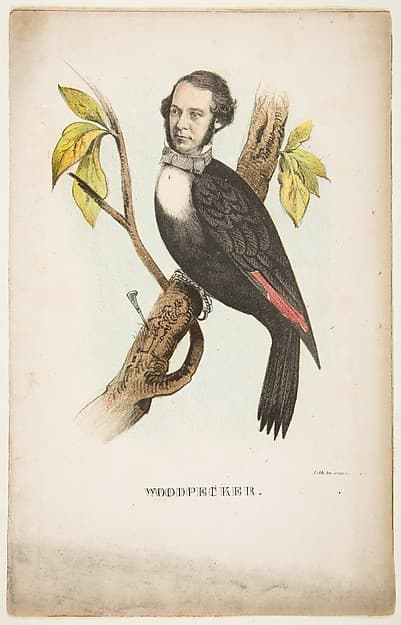 Woodpecker (William B. Gihon), from "The Comic Natural History of the Human Race", by Henry Louis Stephens