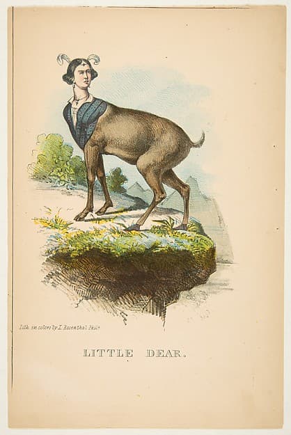 Little Dear, from "The Comic Natural History of the Human Race", by Henry Louis Stephens