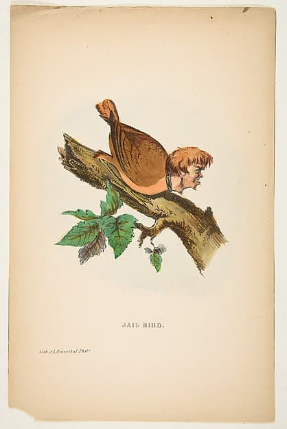 Jail Bird, from "The Comic Natural History of the Human Race", by Henry Louis Stephens