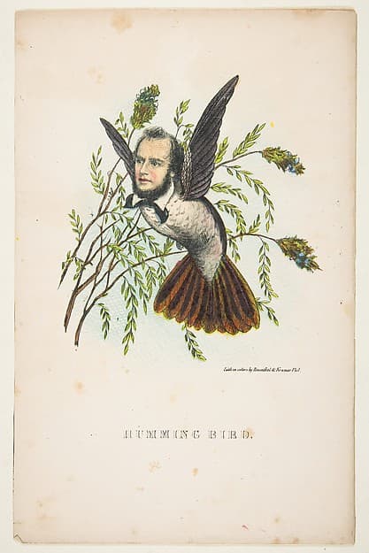 Humming Bird (Thomas B. Florence), from "The Comic Natural History of the Human Race", by Henry Louis Stephens