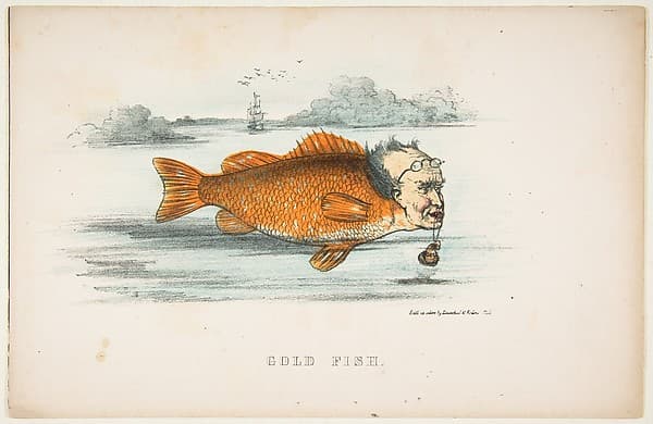 Gold Fish (Francis M. Drexel), from "The Comic Natural History of the Human Race", by Henry Louis Stephens