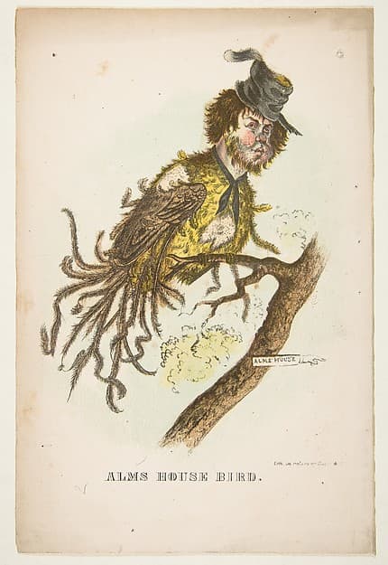Alms House Bird, from "The Comic Natural History of the Human Race", by Henry Louis Stephens