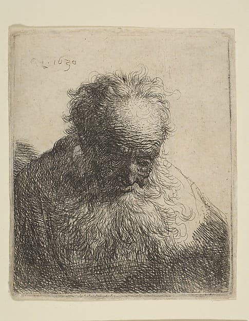 Bust of an Old Man with a Flowing Beard: the Head Bowed Forward: Left Shoulder Unshaded, by Rembrandt (Rembrandt van Rijn)