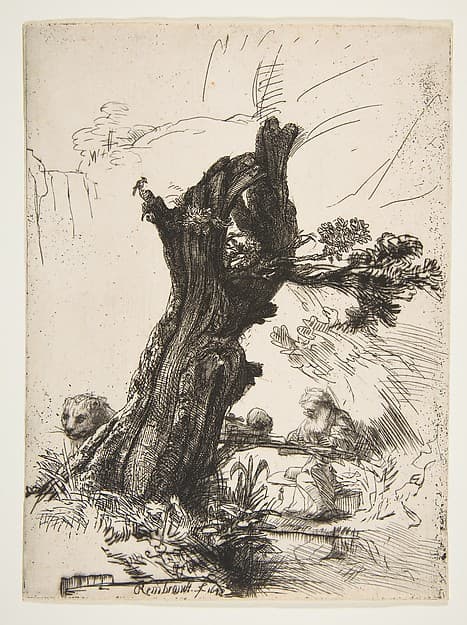 St. Jerome beside a Pollard Willow, by Rembrandt (Rembrandt van Rijn)