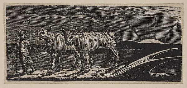 Unyok'd Heifers, Loitering Homeward (Return of the Shepherd), from Thornton's "Pastorals of Virgil", by William Blake