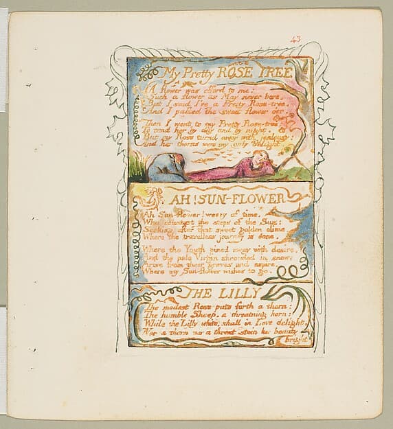 Songs of Experience: My Pretty Rose Tree, Ah! Sun-Flower, The Lilly, by William Blake