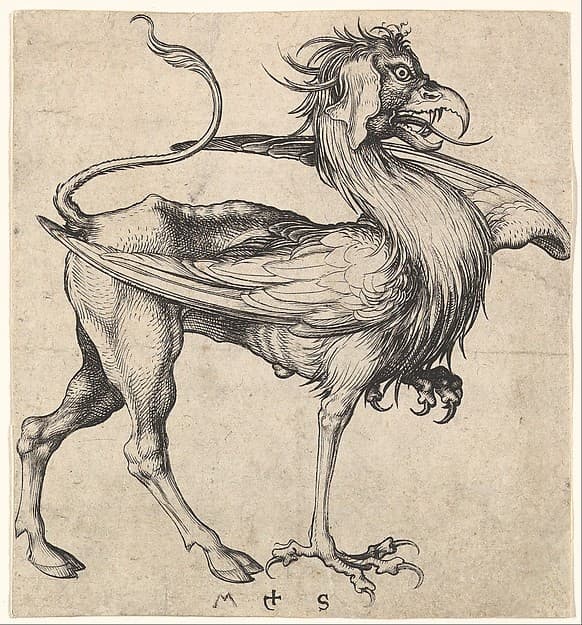 Griffin, by Martin Schongauer