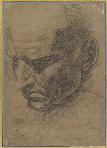 Head of a Man, by Anonymous, Italian, Roman, 16th century
