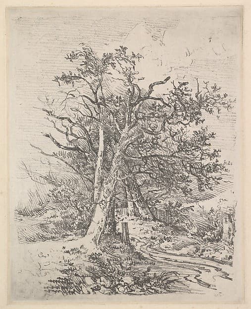 Tree Trunks and Lane, by John Crome