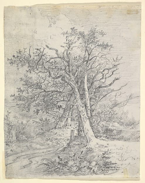Study for Tree Trunks and Lane, by John Crome
