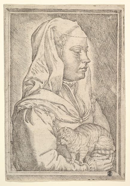 Girl with a Cat, by Jan Cornelisz Vermeyen