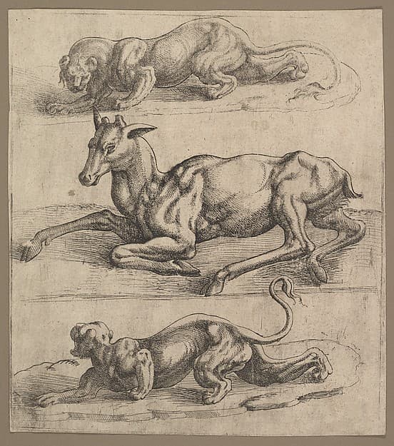 A Doe and Two Lionesses, by Jan Cornelisz Vermeyen