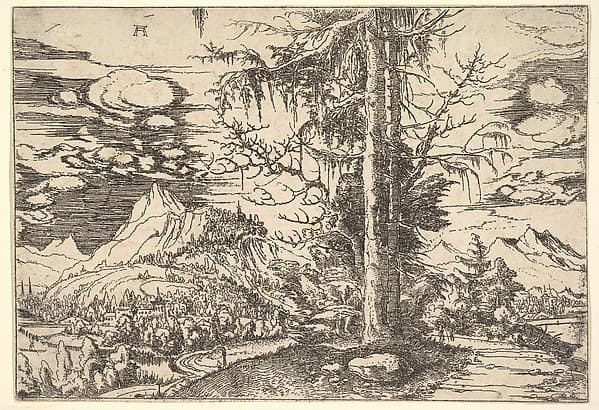 Landscape with a Double Spruce, by Albrecht Altdorfer