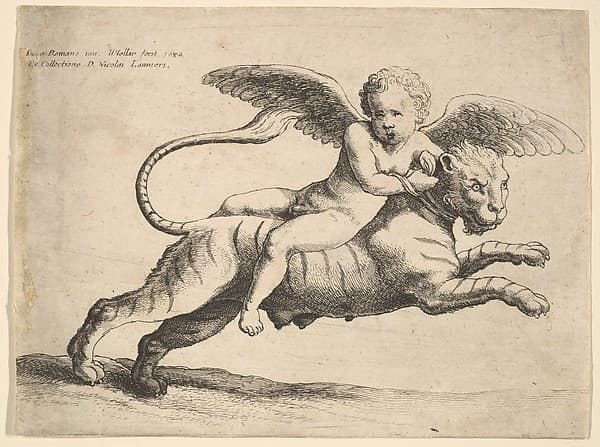 Cupid on a tiger, by Wenceslaus Hollar