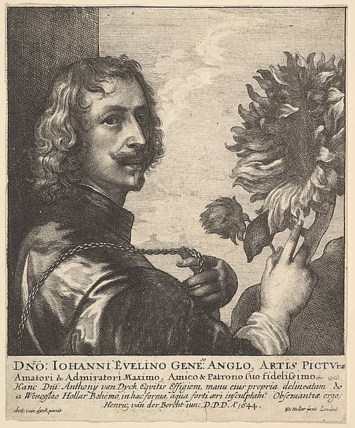 Sir Anthony Van Dyck with a Sunflower, by Wenceslaus Hollar