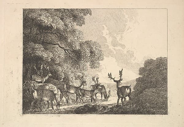 A Group of Stags Drinking, by Thomas Rowlandson