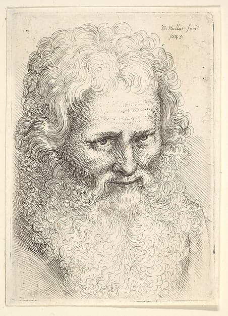 Head of an old man with a large beard, by Wenceslaus Hollar