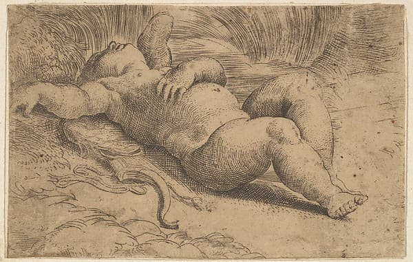 Cupid Sleeping, by Parmigianino (Girolamo Francesco Maria Mazzola)
