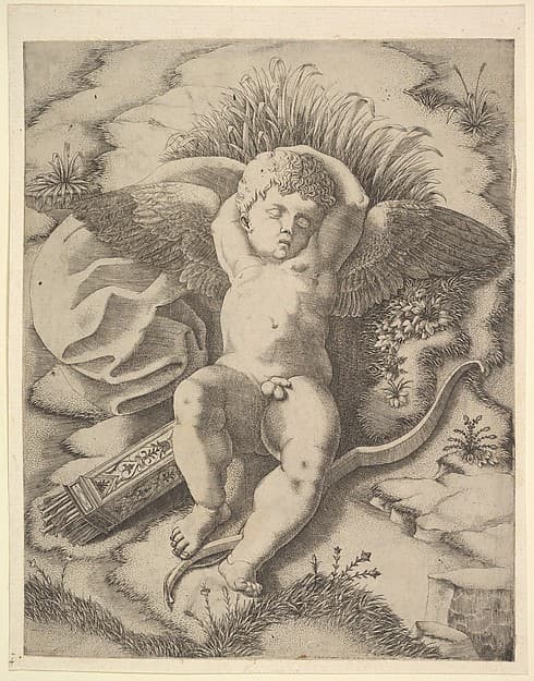 Cupid Sleeping, by Anonymous, Italian, 16th century