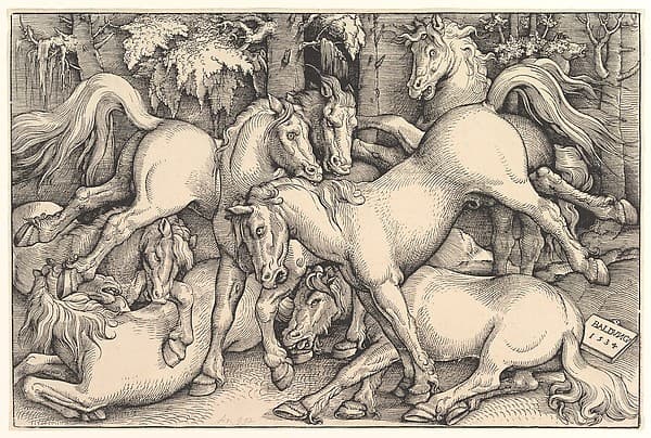 Group of Seven Horses, by Hans Baldung (called Hans Baldung Grien)