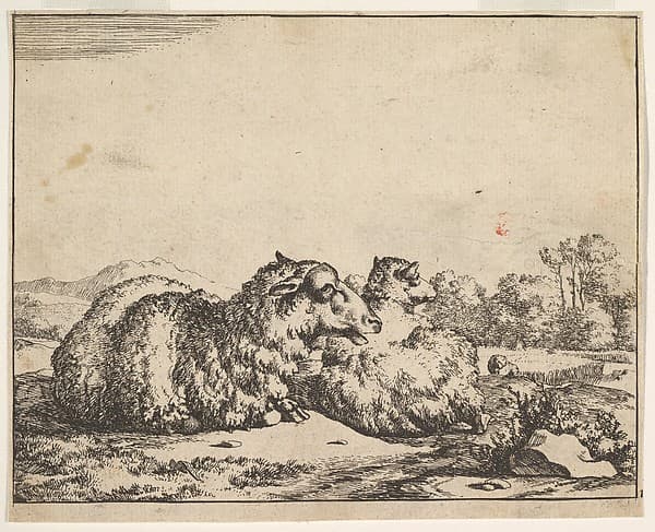 Sheep, from a set of 16 plates, by Marcus de Bye