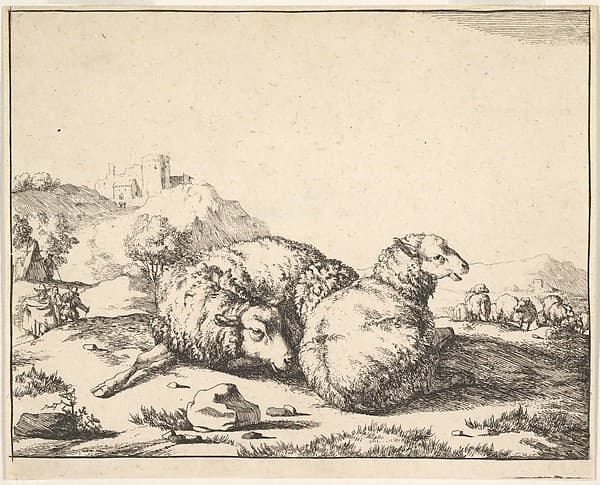 Sheep, from a set of 16 plates, by Marcus de Bye