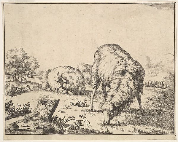 Sheep, from a set of 16 plates, by Marcus de Bye