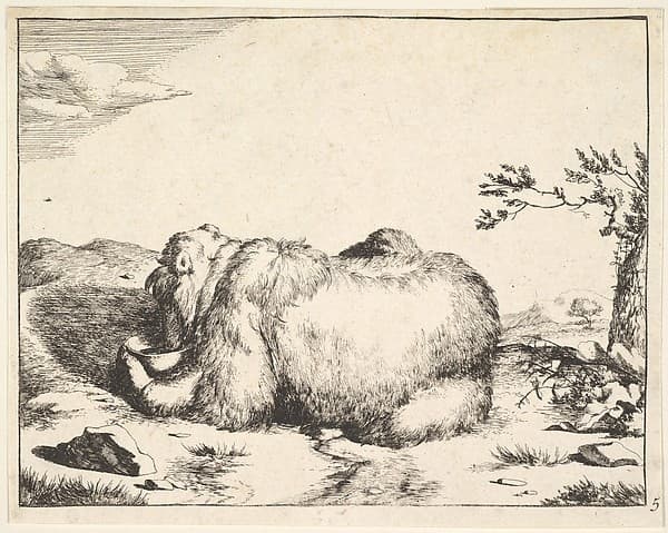 Plate from "The Set of The Bears", by Marcus de Bye