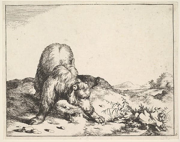 Plate from "The Set of The Bears", by Marcus de Bye