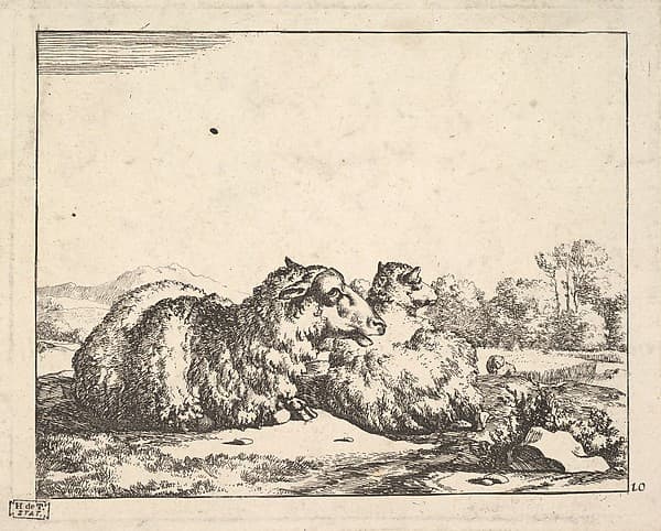 Sheep, from a set of 16 plates, by Marcus de Bye