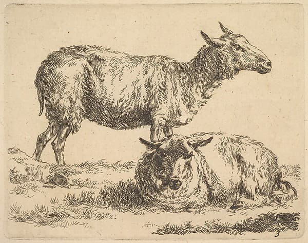Plate from "The Set of Sheep", by Nicolaes Berchem
