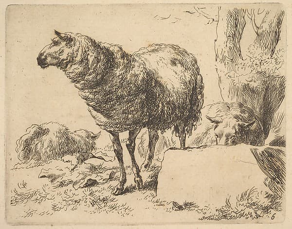 Plate from "The Set of Sheep", by Nicolaes Berchem