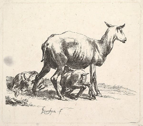 Sheep with Lamb Nursing, by Nicolaes Berchem