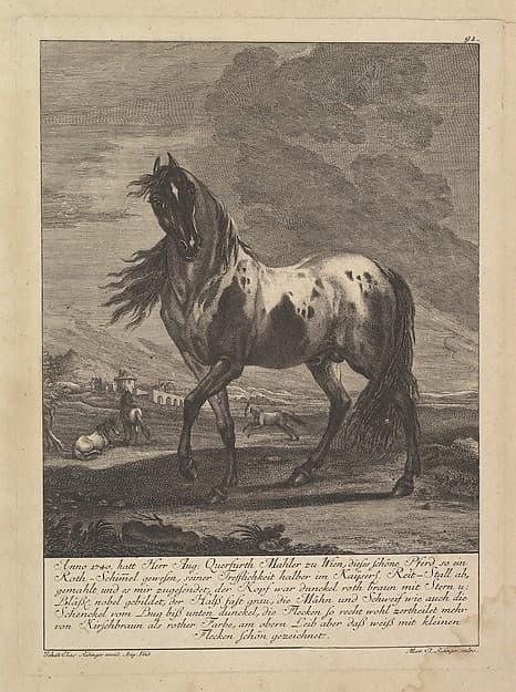 Horse, by Johann Elias Ridinger